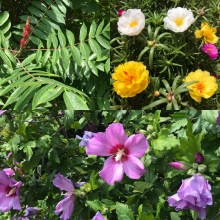 2DECFF08-E608-4AF8-9312-702C9F018BFF