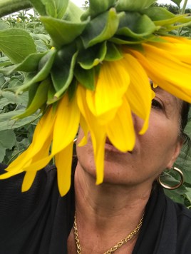 visiter salies de bearn